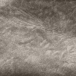 Велюр  Свен - CF017-5 - Обивка для мягкой мебели Свен
